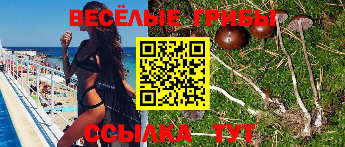 Балтийск  Галлюциногенные грибы прущие грибы  Вход с VPN 