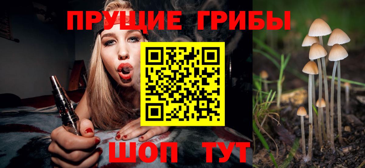 Галлюциногенные грибы прущие грибы Балтийск